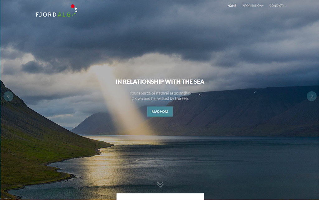FjordAlg 01