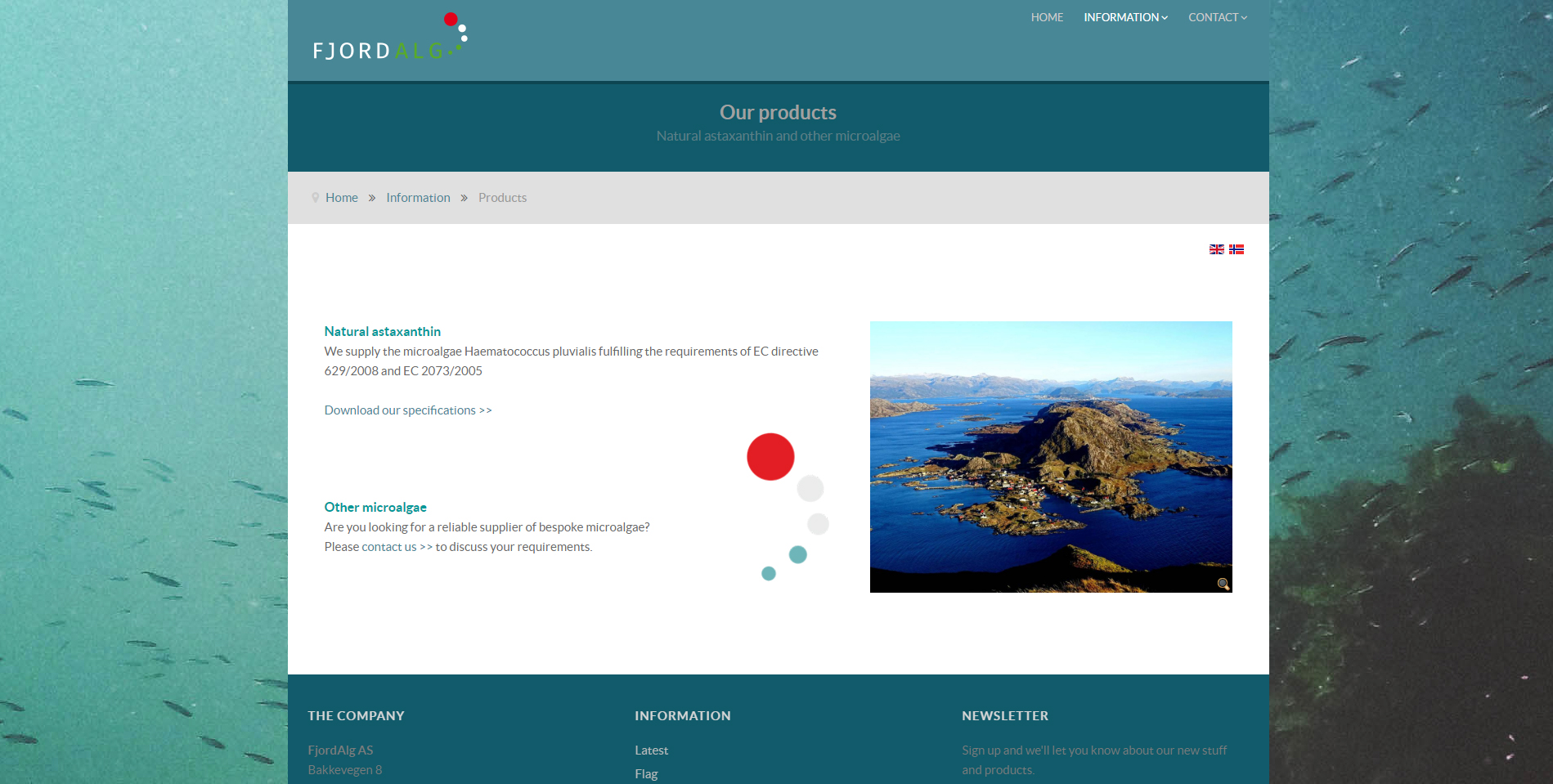 FjordAlg 03